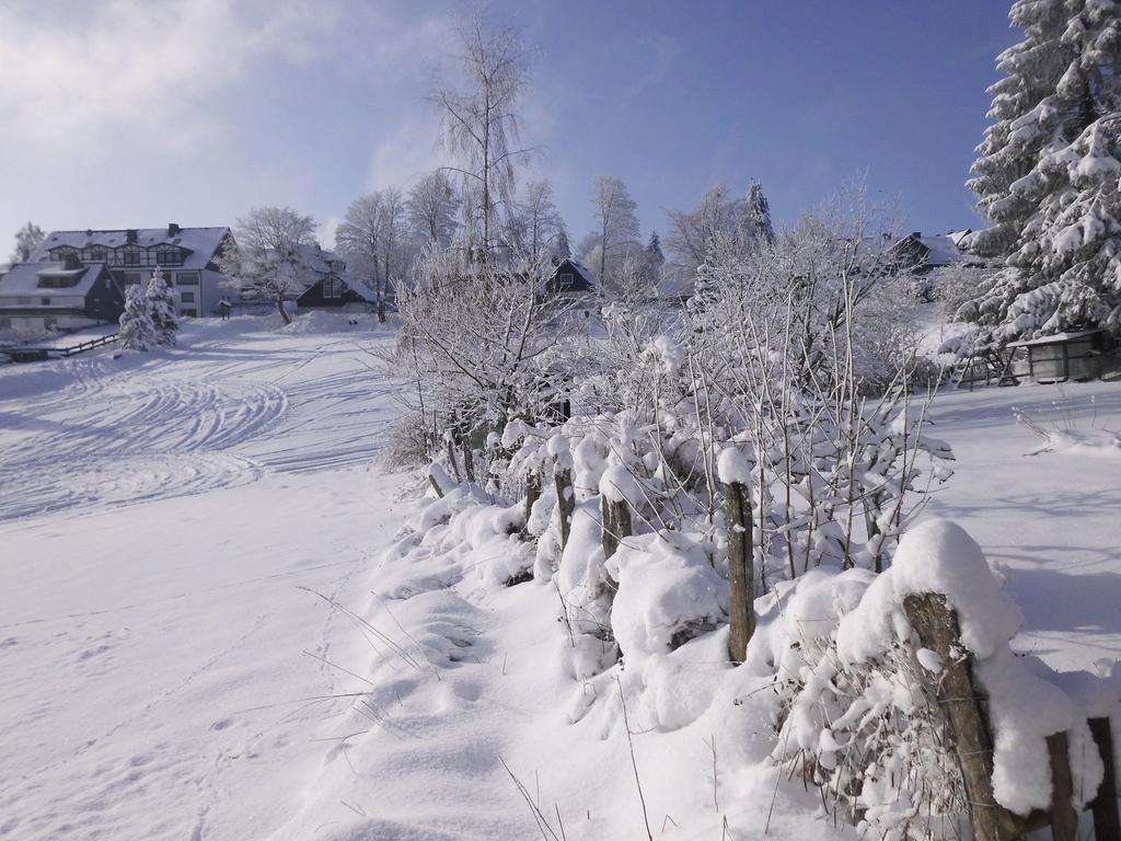 Apartment In Langewiese Sauerland With Garden Winterberg Eksteriør bilde